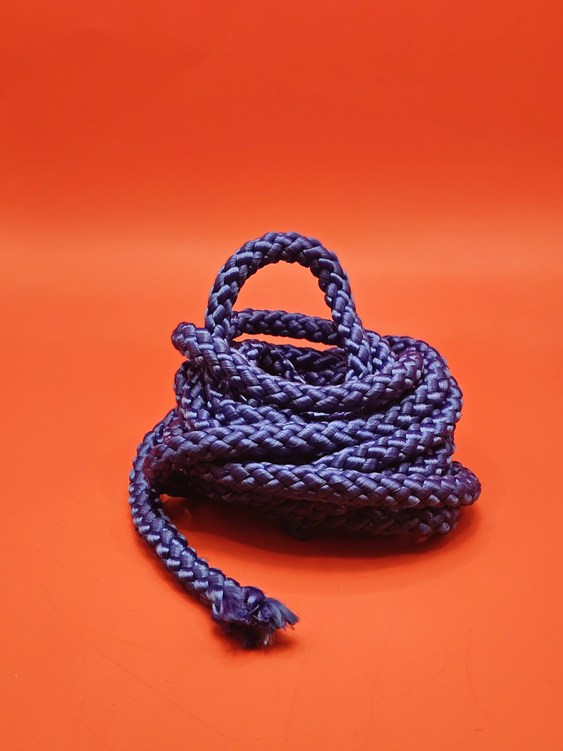 Springtouw blauw - 20241208_181833.jpg