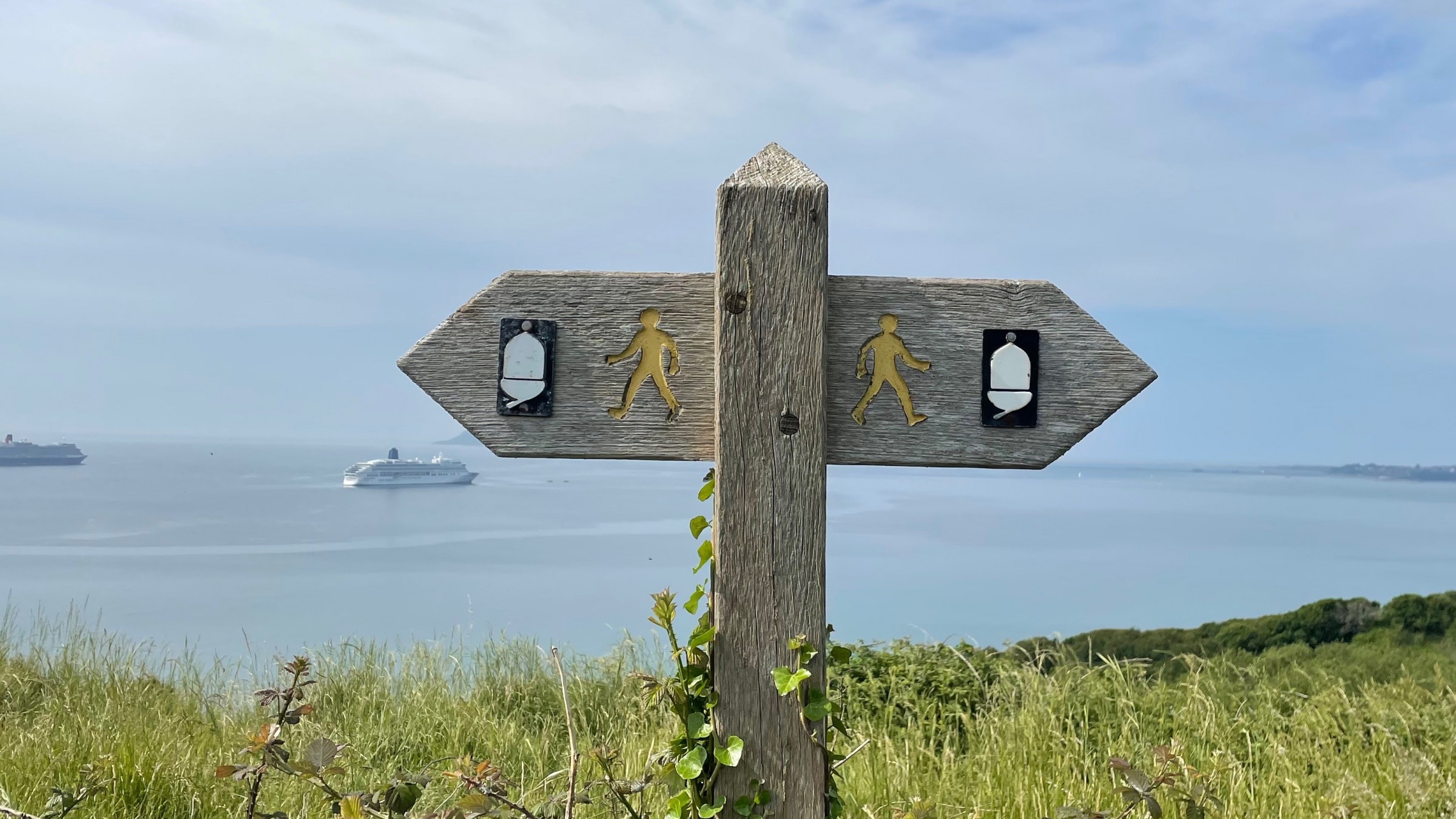 Waar helpt deze training mee: Individuele training