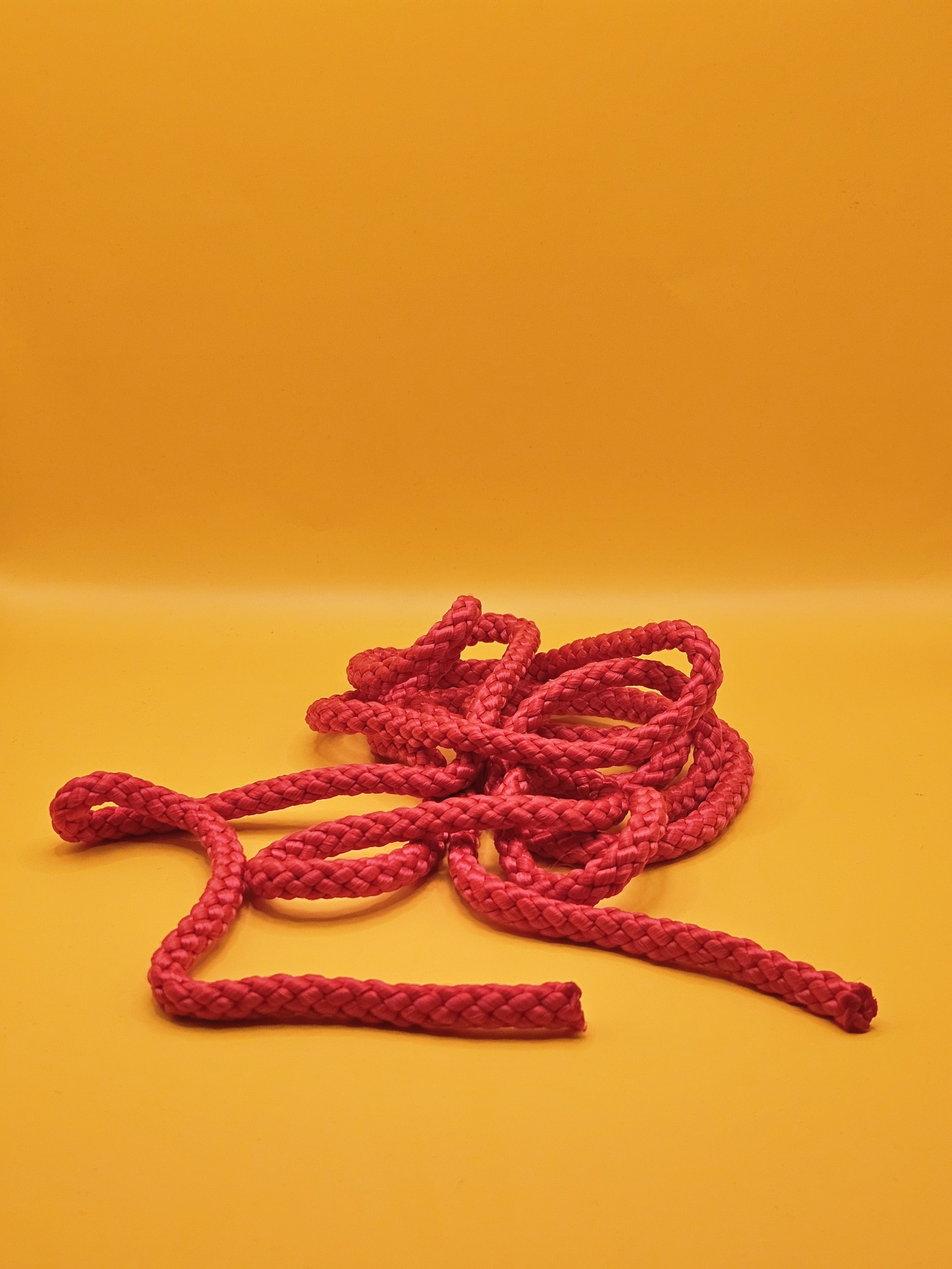 Springtouw rood - 20241208_182447.jpg