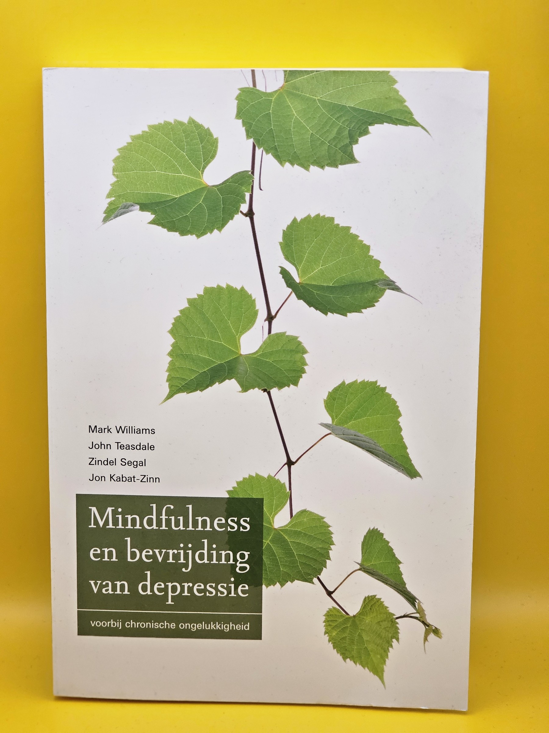 Boek Mindfulness en bevrijding van depressie voorbij chronische ongelukkigheid - 20241116_203652.jpg